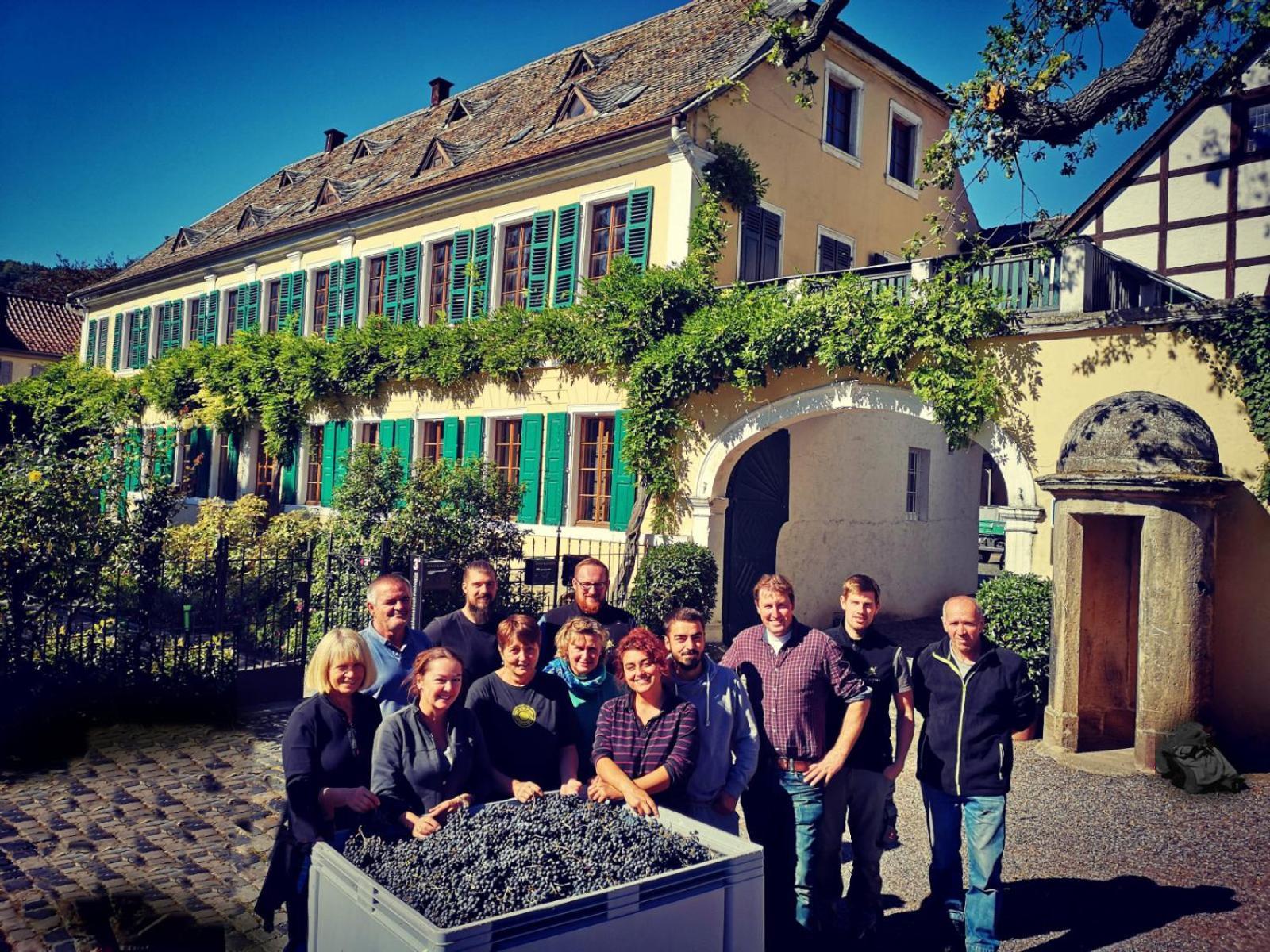 Unterkunft Im Weingut Fitz-Ritter Bad Durkheim Bagian luar foto