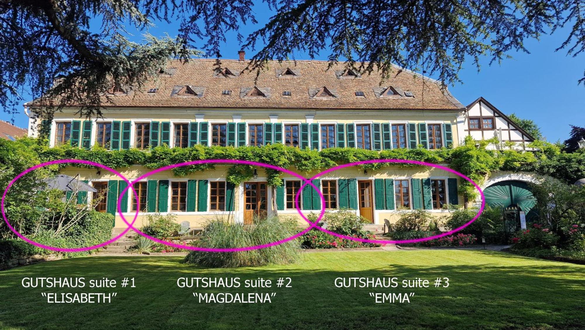 Unterkunft Im Weingut Fitz-Ritter Bad Durkheim Bagian luar foto