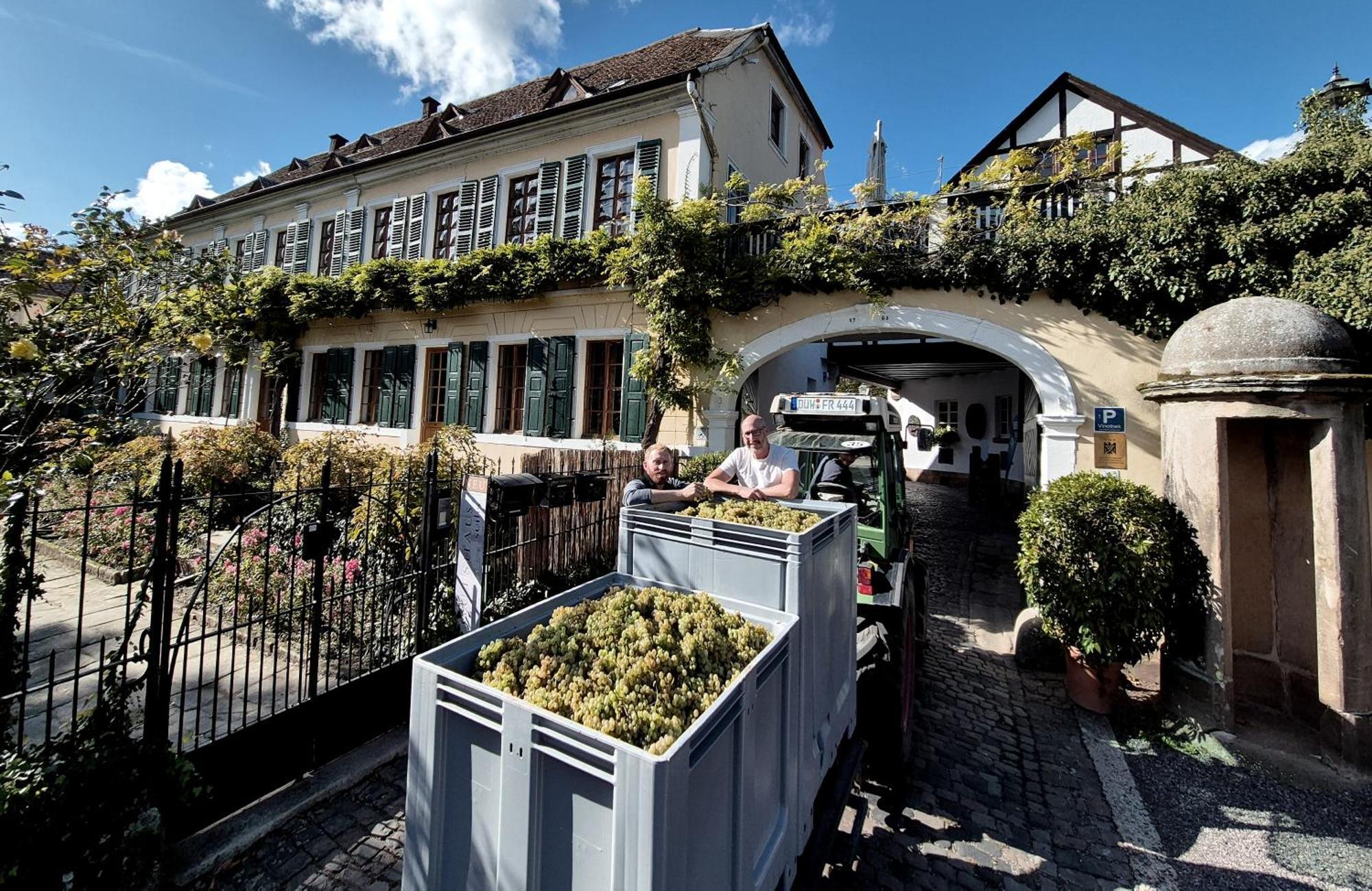 Unterkunft Im Weingut Fitz-Ritter Bad Durkheim Bagian luar foto
